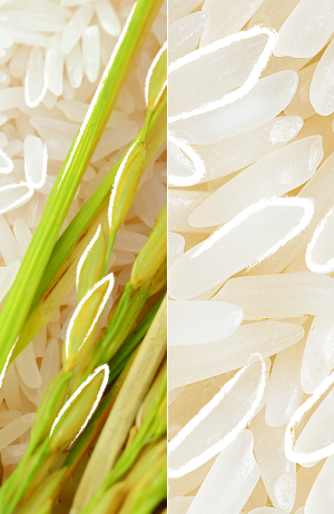 KMS ADDVOLUME LIQUID STRENGTH RINSE 150 ML