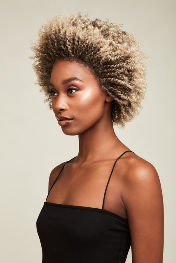 Feme Afro Lace Wig - Loose Twist Out