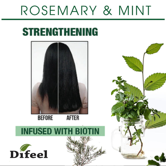 DIFEEL ROSEMARY AND MINT HAIR STRENGTHENING CONDITIONER WITH BIOTIN 12 OZ.