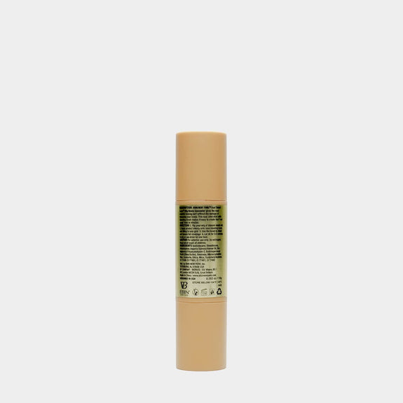 EBIN TINTED LACE CONCEALER-10G