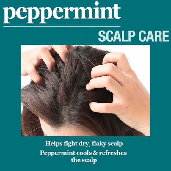 DIFEEL PEPPERMINT SCALP CARE SHAMPOO
