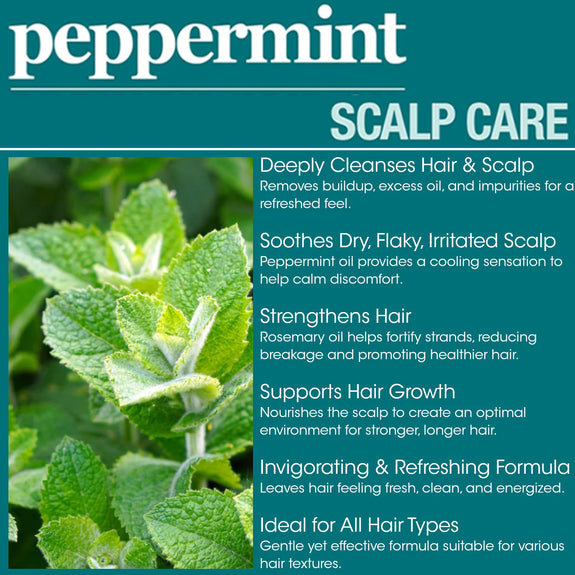 DIFEEL PEPPERMINT SCALP CARE SHAMPOO