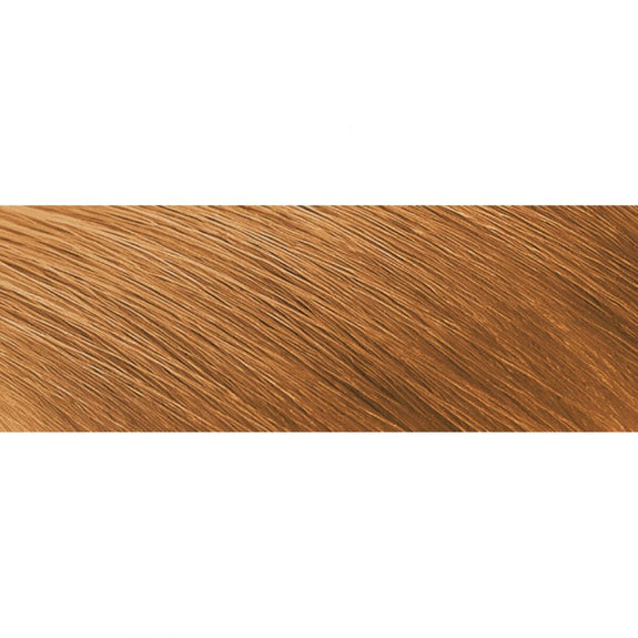 Creme of Nature Argan Oil Permanent Hair Color 10.0 Honey Blonde