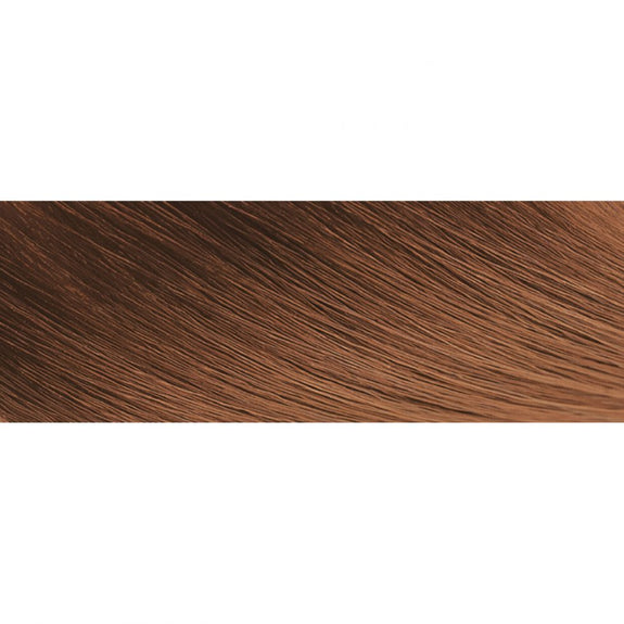 CREME  OF NATURE ARGAN OIL FROM MOROCCO Exotic Shine Color with Argan Oil from Morocco 7.3 Medium Warm Brown